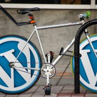 Wordpress Shortcodes